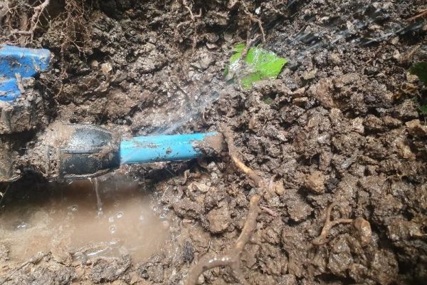 Water Mains Leak Detection Sussex
